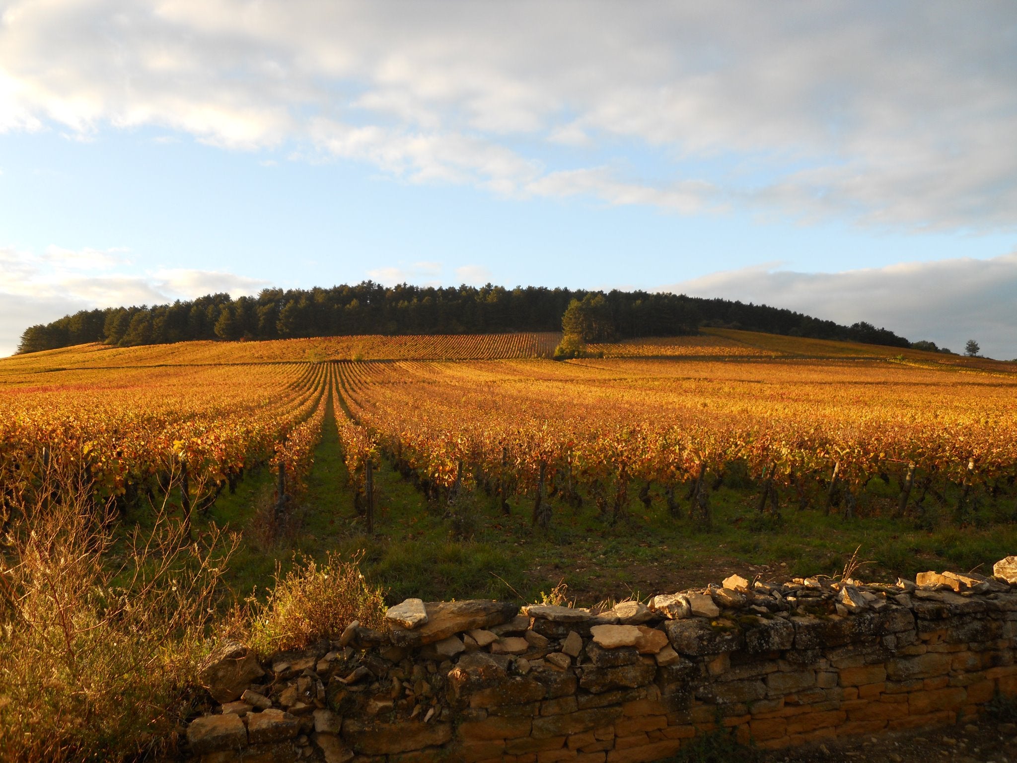 Domaine Christophe Vaudoisey